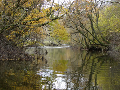 Lower Clochfaen beat